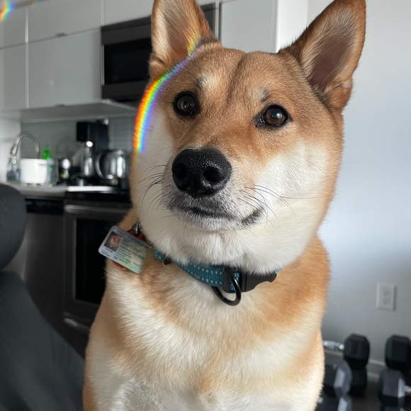 Meet your Posher, Brian - Picture 1 of 1